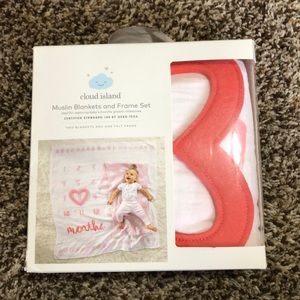 Baby girl milestone blanket